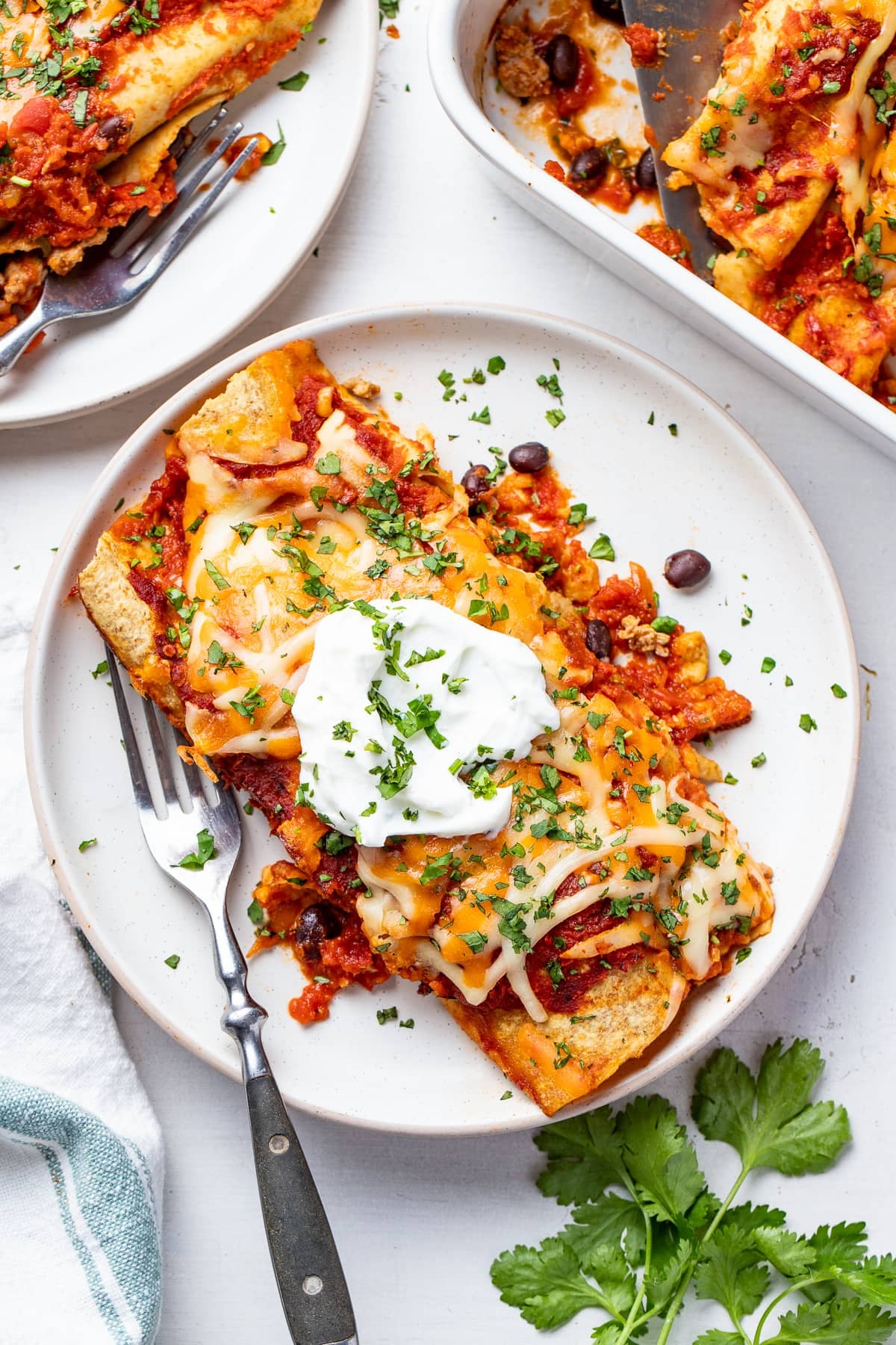 Cheesy Turkey and Black Bean Enchiladas