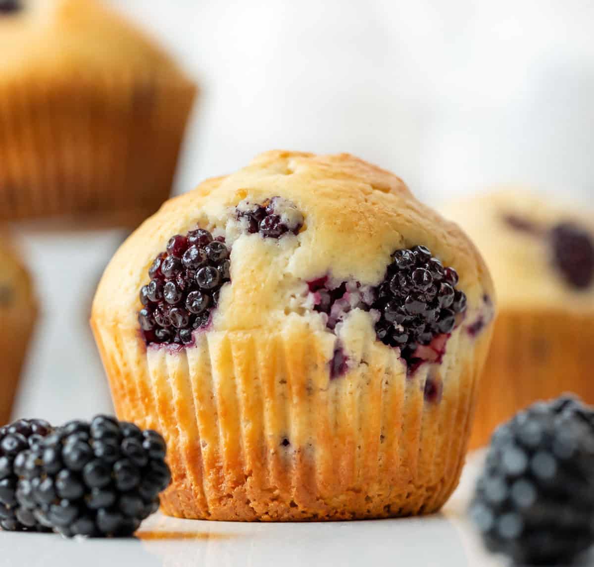 Blackberry Muffins
