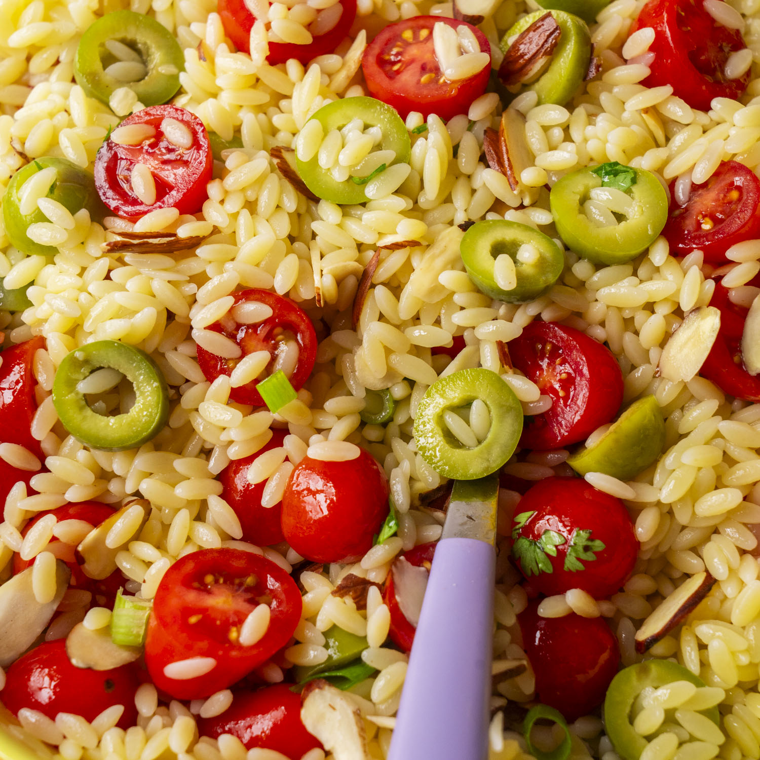 Orzo Pasta Salad with Olives, Tomatoes and Lemon Dressing