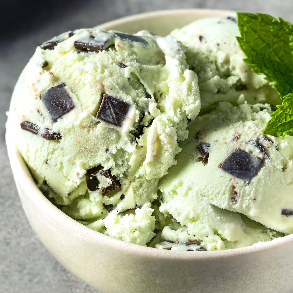 Mint Chocolate Chip Ice Cream