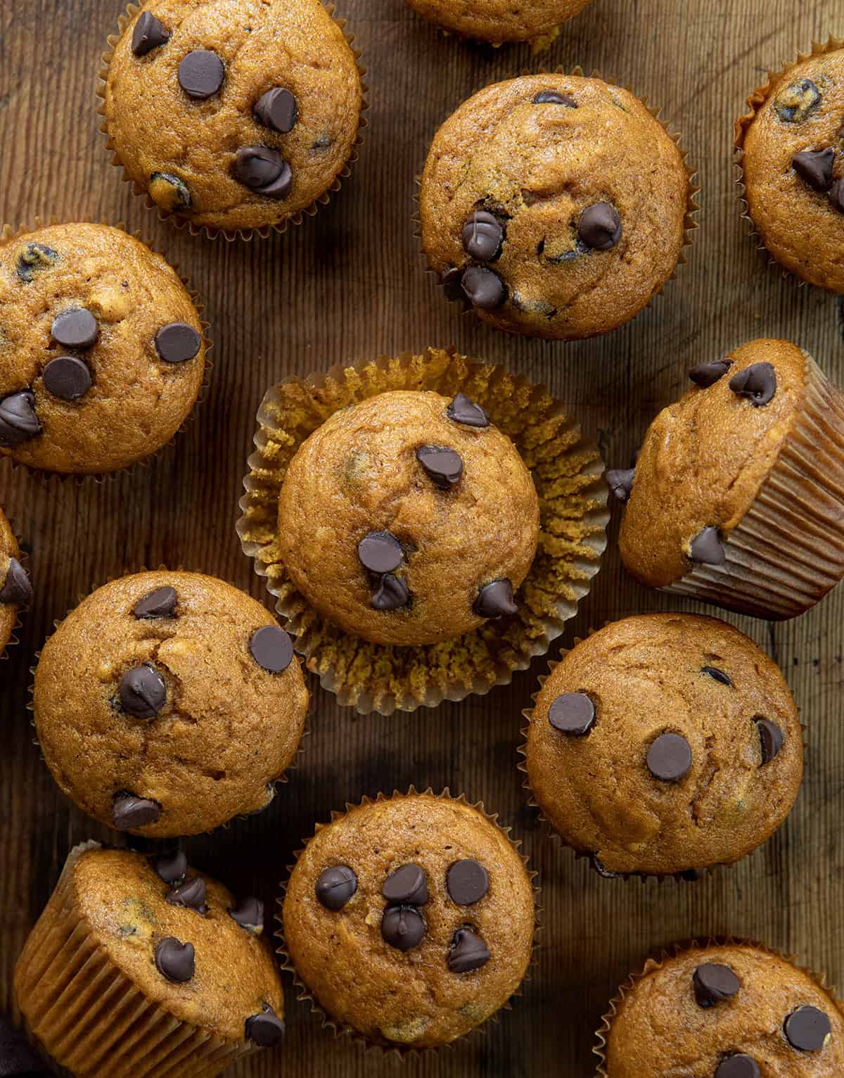 Chocolate Chip Pumpkin Muffins