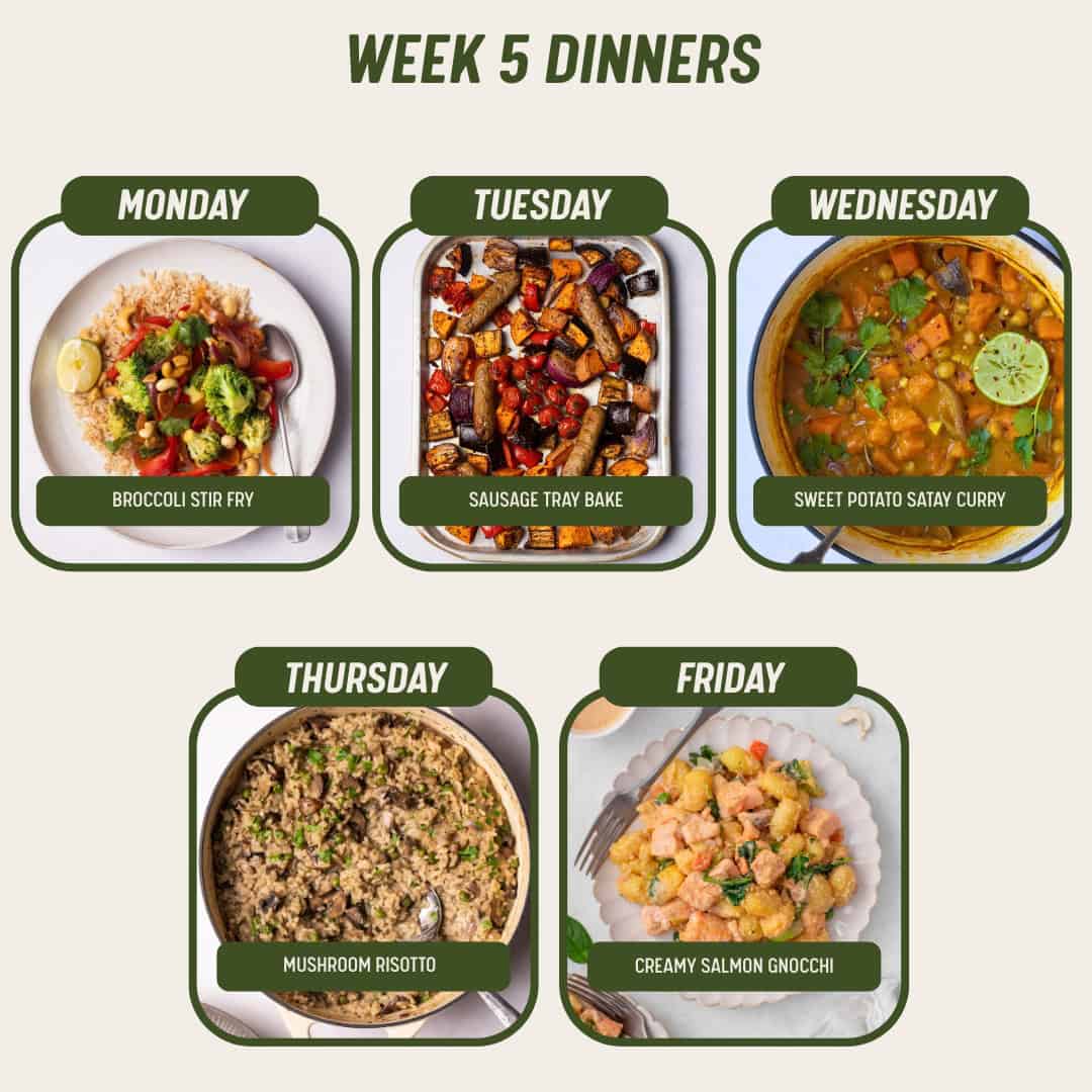Week 5 Dinners - 9/2/26