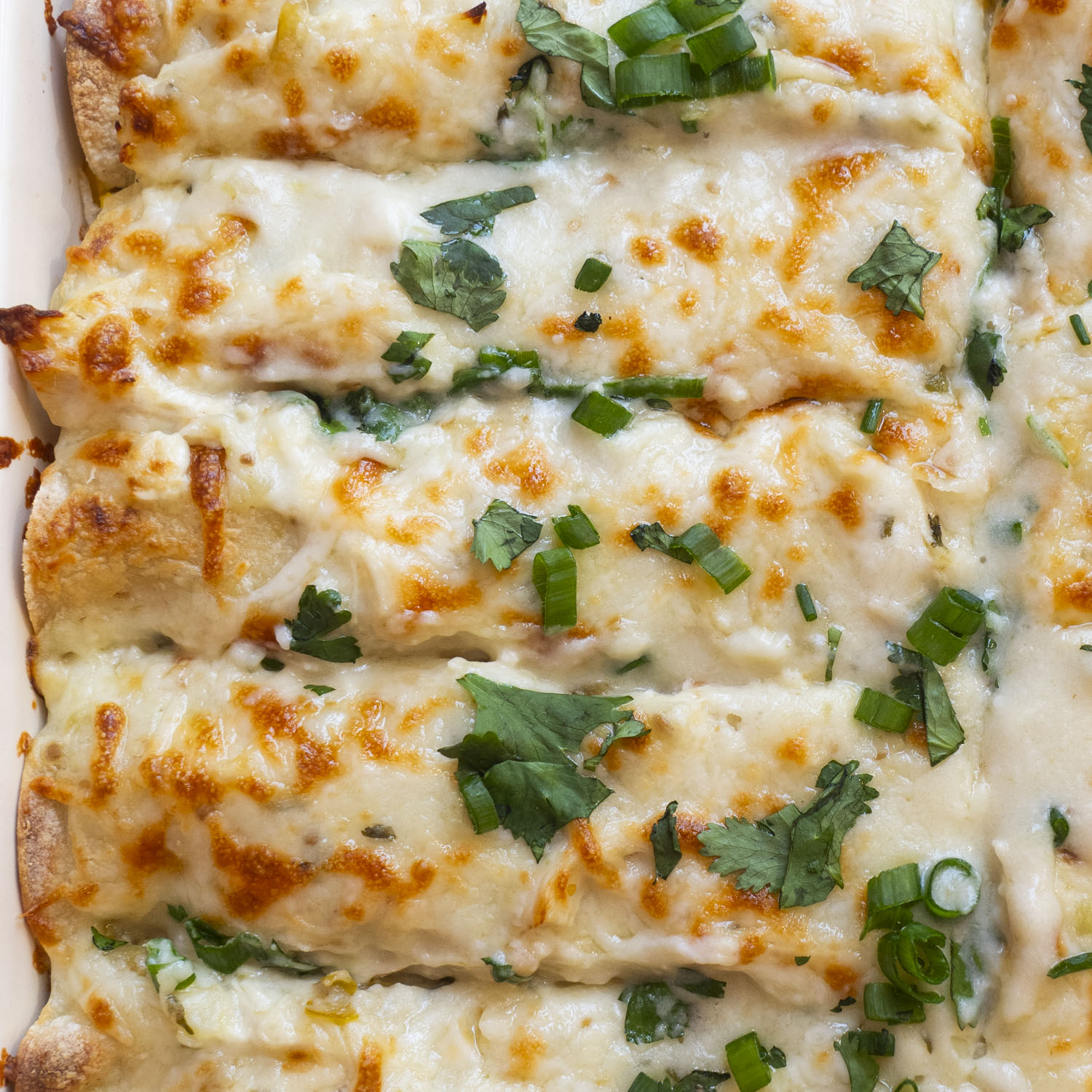 Chicken Enchilada Casserole on a Bed of Rice