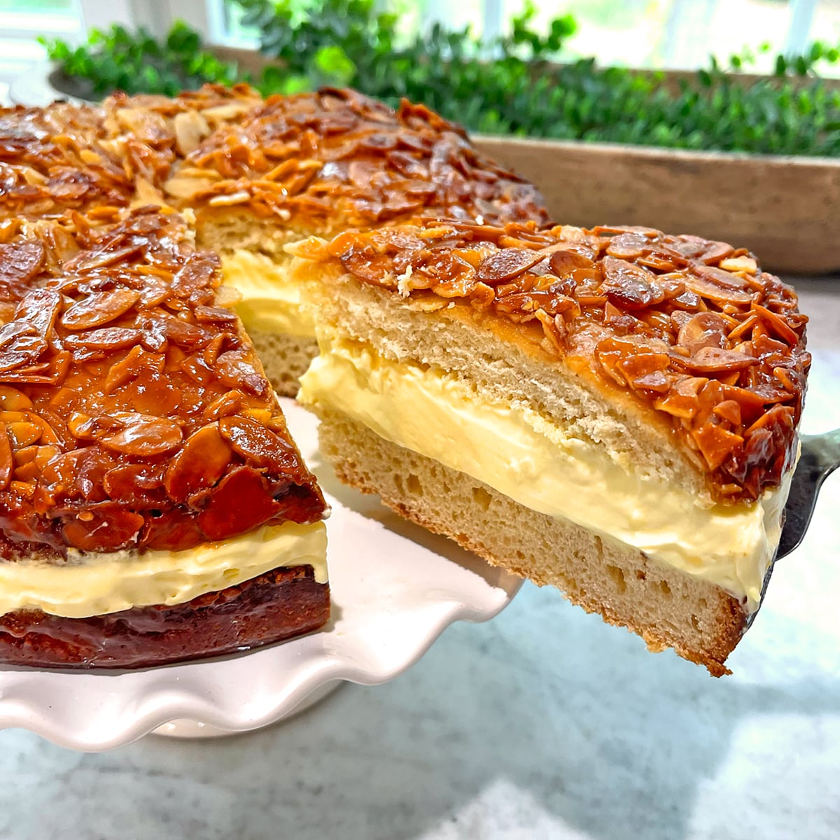 Authentic Bienenstich (German Bee Sting Cake)